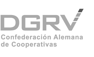 DGRV logo - Editado